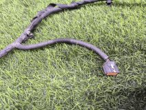 Проводка парктроников передняя Hyundai Grand Santa Fe 2016-