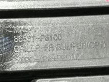 Нижняя решетка передняя Hyundai SANTA FE MX5 Нижняя решетка передняя Hyundai SANTA FE MX5