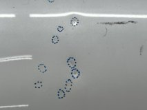 Капот Hyundai Grandeur