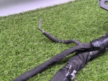 Проводка бампера Ford Explorer