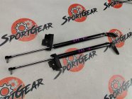 Амортизаторы багажника задние Nissan Elgrand AVWE50 1999 QD32 №273