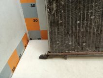 Радиатор основной Citroen Berlingo MF 2006 1.9