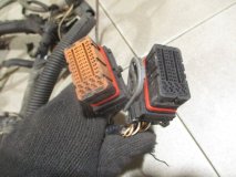 Проводка моторная Renault Megane 2 2007 K4M Проводка моторная Renault Megane 2 2007 K4M