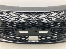 Решетка радиатора Omoda S5 GT 2023-