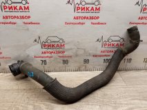 Патрубок системы охлаждения GREAT WALL POER 2023 GW4D20M