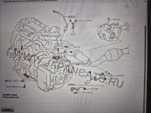 Лямбда-зонд Toyota Rav4 50