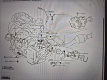 Лямбда-зонд Lexus ES 7