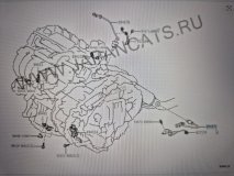 Лямбда-зонд Toyota Rav4 50