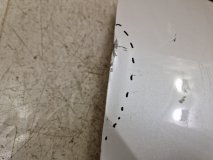 Дверь левая передняя Toyota C-HR 1 Дверь левая передняя Toyota C-HR 1