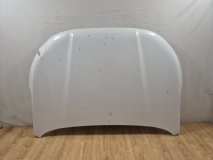 Капот Exeed VX