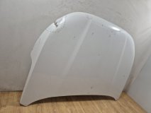 Капот Exeed VX