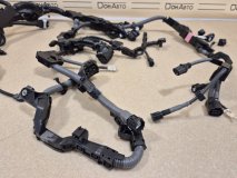 Проводка двигателя Toyota Rav4 50