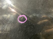 Капот TOYOTA SIENTA NSP170G 2016 2NR-FKE