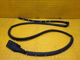 Уплотнитель двери левый передний Renault Arkana 2021 H4ME441P018446