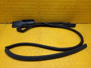 Уплотнитель двери правый задний Renault Arkana 2021 H4ME441P018446