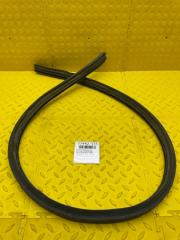 Уплотнитель двери правый задний Ford Transit TTG 2022 NY85959