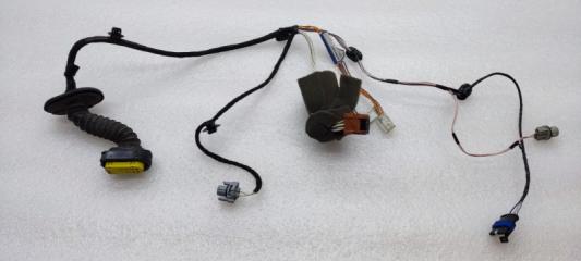 Проводка двери правая задняя Renault Laguna X74 2005 F4P Проводка двери правая задняя Renault Laguna X74 2005 F4P