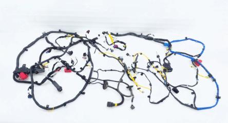 Проводка салона Hyundai Tucson NX4 2022 G4NL Проводка салона Hyundai Tucson NX4 2022 G4NL