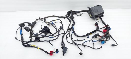 Проводка подкапотная Hyundai Santa Fe TM 2020 D4HB