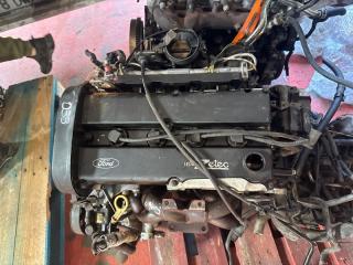 Двигатель Ford Focus 1998-2007 EDDB 2.0