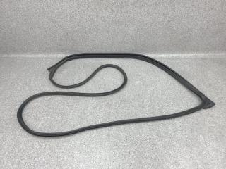 Уплотнительная резинка двери правая передняя Nissan Safari WTY61 2000 ZD30DDTi Уплотнительная резинка двери правая передняя Nissan Safari WTY61 2000 ZD30DDTi