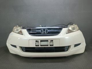 Nose cut HONDA EDIX 2008