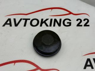 Колпачок ступицы задний NISSAN PRIMERA WTP12 2005 QR20DE Колпачок ступицы задний NISSAN PRIMERA WTP12 2005 QR20DE