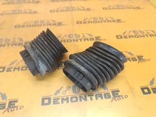 Гофра дверной проводки передняя Volkswagen Passat B5 3B6 2005 BAU