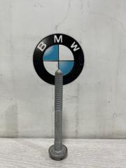 Болт подвески передний BMW 320i F30 N20B20B контрактная