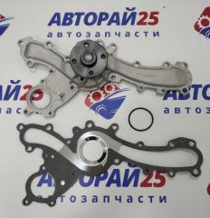 Запчасть помпа Toyota ASIAIN WPT142 1610039456 T171