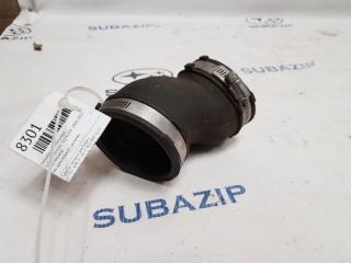 Патрубок интеркулера Subaru Forester 2003-2012 S12 EJ205 14459AA460 контрактная