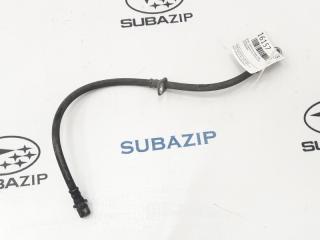 Шланг тормозной передний правый Subaru Impreza 2011 G12 El154 26590AE001 контрактная