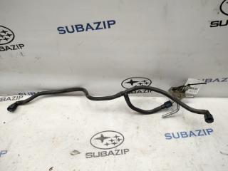 Трубка топливная Subaru Forester