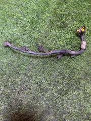 Проводка форсунок RENAULT MEGANE 2008 К4М Проводка форсунок RENAULT MEGANE 2008 К4М