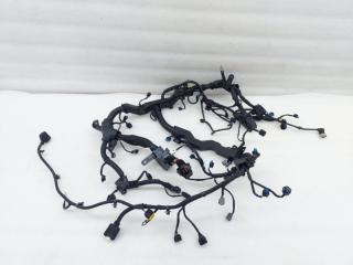 Проводка двигателя Genesis GV80 JK1 2021 G6DS-5