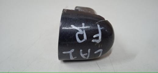 Заглушка ручки двери RENAULT LAGUNA 2 2001-2008 Заглушка ручки двери RENAULT LAGUNA 2 2001-2008