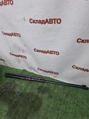 Газовый упор капота передний Toyota Camry 2006 ACV40 2AZFE