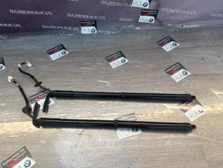 Амортизатор крышки багажника Nissan X-TRAIL 2020 HNT32 MR20DD