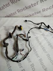 Проводка двери правая задняя Renault Laguna 2009 DCI 1.5 Проводка двери правая задняя Renault Laguna 2009 DCI 1.5