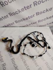 Проводка двери левая задняя Renault Laguna 2009 DCI 1.5 Проводка двери левая задняя Renault Laguna 2009 DCI 1.5