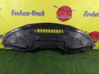 Защита бампера передняя MERCEDES-BENZ S-Class 2004 W220 112.972 A2205245330 контрактная