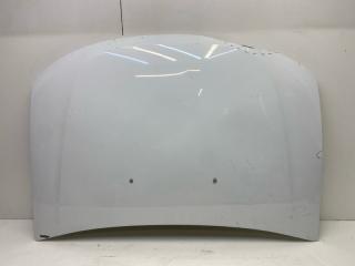 Капот RENAULT DUSTER 1 БУ