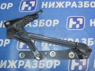 Петля багажника Ford Focus 2 2007