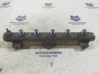 Рейка топливная (рампа) Hyundai Santa Fe CM 2007 D4EB Рейка топливная (рампа) Hyundai Santa Fe CM 2007 D4EB