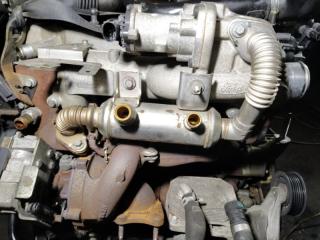 Радиатор (теплообменник) EGR Ford Focus 2 (08-11)