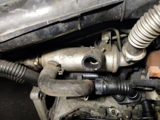 Радиатор (теплообменник) EGR Ford Fiesta (01-08)