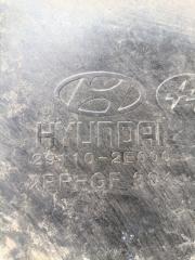 Защита двигателя Hyundai Tucson JM 2.0 Защита двигателя Hyundai Tucson JM 2.0