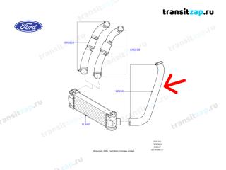 Патрубок интеркулера левый Transit 2006/2014 2.4