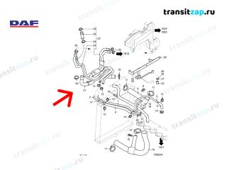 Шланг радиатора LF 2006 (ДАФ ЛФ) Дизель