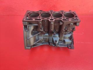 Блок цилиндров Nissan Qashqai J10 2008 K9K